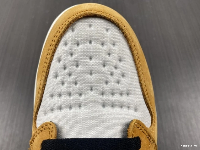 Rep TB DB2889-700 Element High 1 Gore-Tex Jordan Curry Light 0708